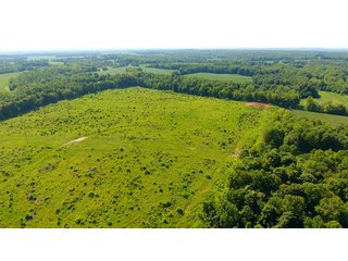 Property photo 18 - LAND AUCTION - 1,193+/- ACRES IN 14 TRACTS IN PIKE & GIBSON COUNTY, INDIANA